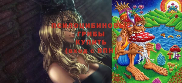 a pvp Дмитриев