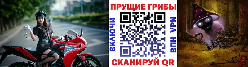 Псилоцибиновые грибы мицелий  Купить где  Циолковский 